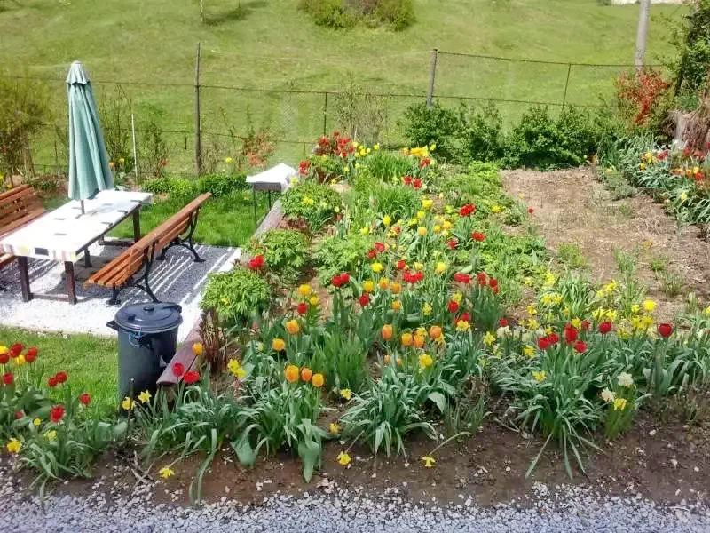 Izvoru Mureșului Cazare | Motel (K0457-16) Imaginea poate fi supusă drepturilor de autor. Se recomandă contactarea titularului drepturilor.