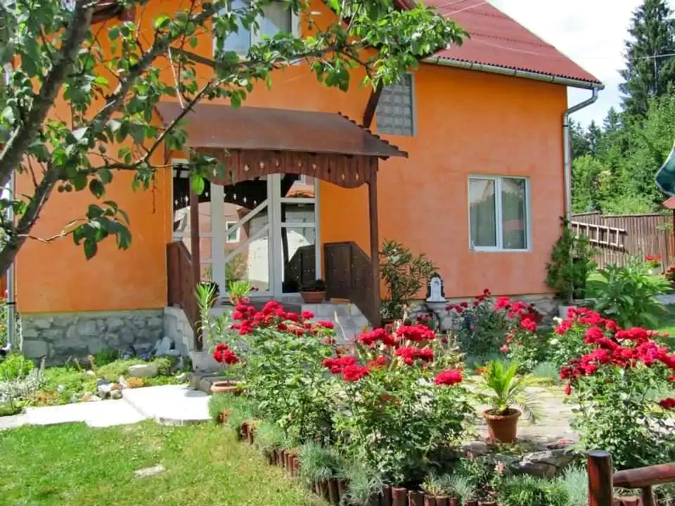 Izvoru Mureșului Cazare | Pensiune (K0458-29) Imaginea poate fi supusă drepturilor de autor. Se recomandă contactarea titularului drepturilor.