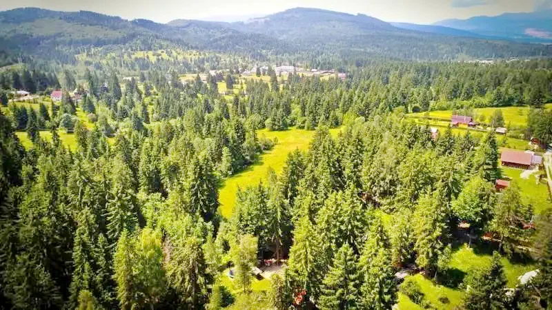 Izvoru Mureșului Cazare | Sat de vacanță (K0468-25) Imaginea poate fi supusă drepturilor de autor. Se recomandă contactarea titularului drepturilor.