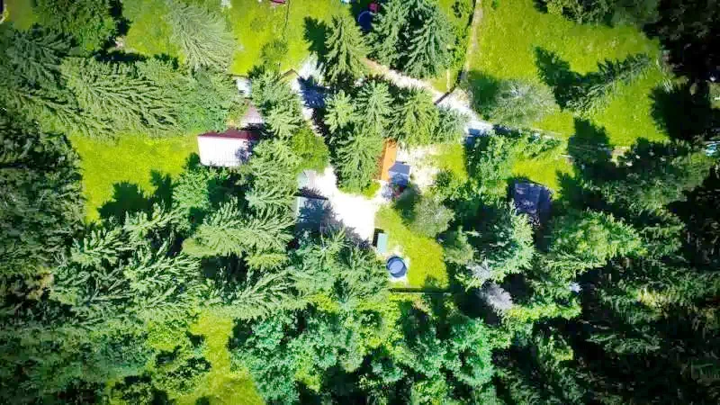 Izvoru Mureșului Cazare | Sat de vacanță (K0468-39) Imaginea poate fi supusă drepturilor de autor. Se recomandă contactarea titularului drepturilor.