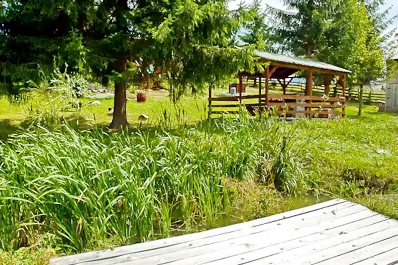 Marosfő Szállás | Hotel**** (K0473-6) A kép szerzői jogvédelem alatt állhat. Javasolt a kapcsolatfelvétel a jog tulajdonossal.