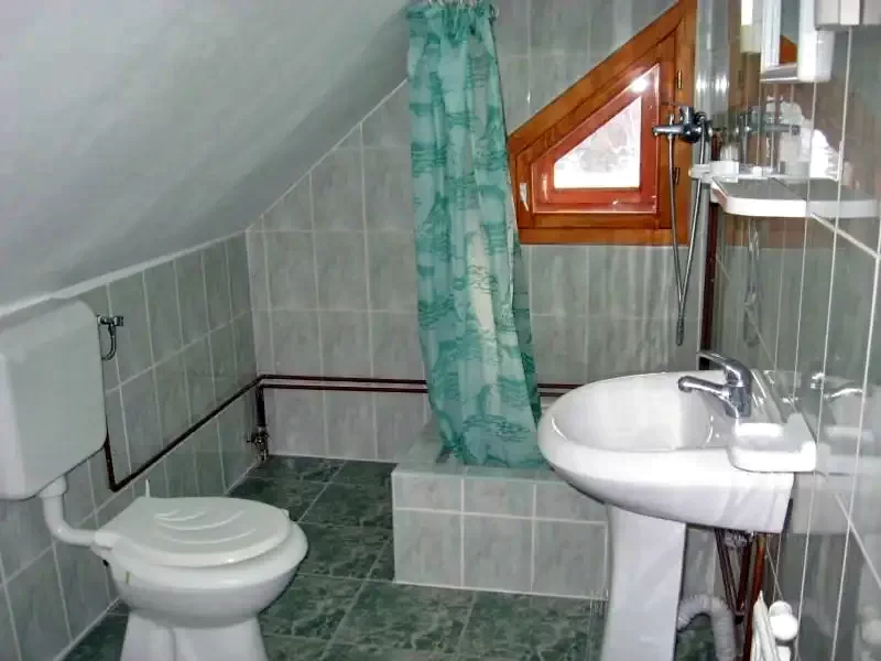 Izvoru Mureșului Cazare | Hotel**** (K0473-10) Imaginea poate fi supusă drepturilor de autor. Se recomandă contactarea titularului drepturilor.