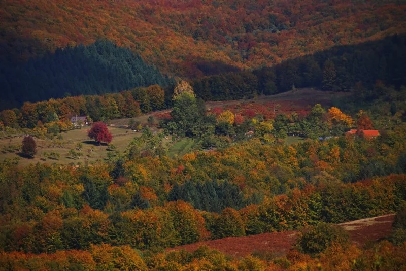 Izvoru Mureșului Cazare | Casă de oaspeți (K0855-24) Imaginea poate fi supusă drepturilor de autor. Se recomandă contactarea titularului drepturilor. Izvoru Mureșului Cazare | Casă de oaspeți (K0855-24) Imaginea poate fi supusă drepturilor de autor. Se recomandă contactarea titularului drepturilor.