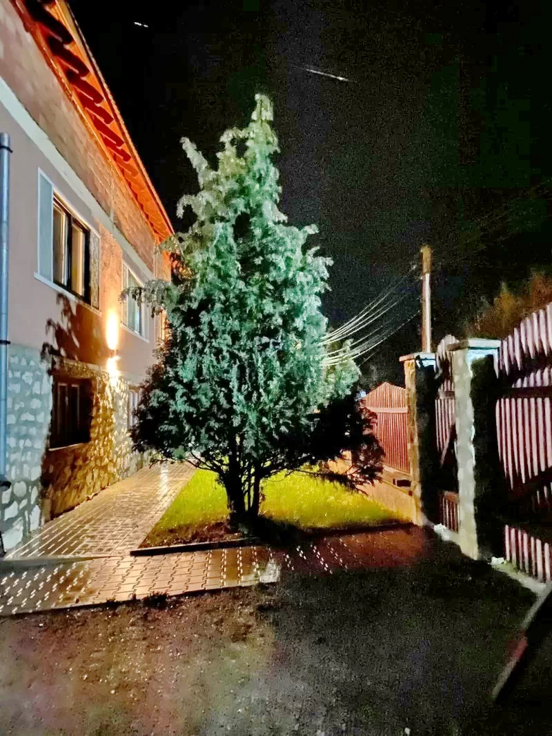 Marosfő Szállás | Motel (K1418-25) A kép szerzői jogvédelem alatt állhat. Javasolt a kapcsolatfelvétel a jog tulajdonossal.