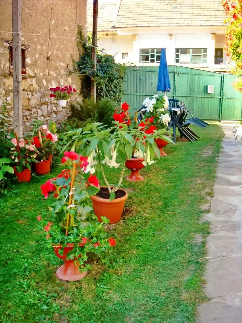 Rimetea Cazare | Motel (K0212-1) Imaginea poate fi supusă drepturilor de autor. Se recomandă contactarea titularului drepturilor.