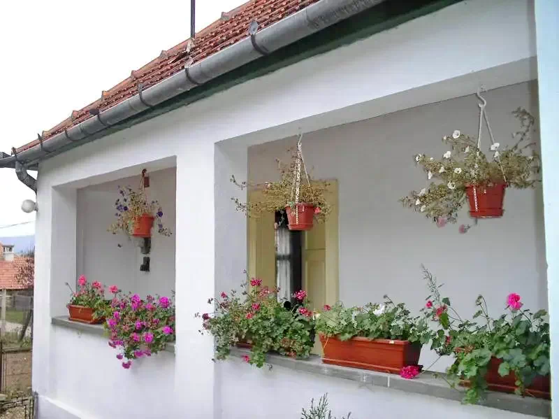 Torockó Szállás | Hotel**** (K0345-1) A kép szerzői jogvédelem alatt állhat. Javasolt a kapcsolatfelvétel a jog tulajdonossal.