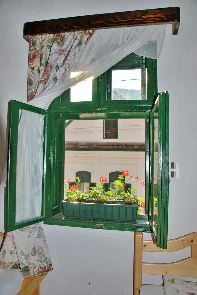 Cazare Rimetea - Casa Elza** | Torockó - Elza Vendégház**. Imaginea poate fi supusă drepturilor de autor. Se recomandă contactarea titularului drepturilor.