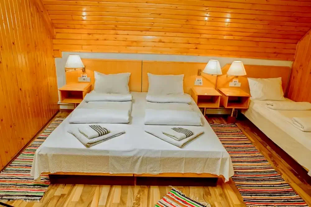 Rimetea Cazare | Hotel**** (K0346-23) Imaginea poate fi supusă drepturilor de autor. Se recomandă contactarea titularului drepturilor.