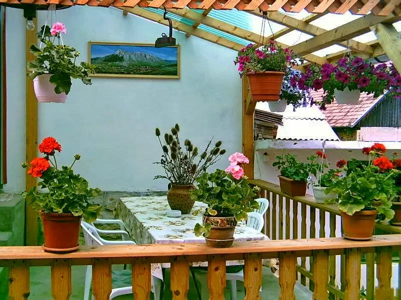 Rimetea Cazare | Hotel**** (K0347-4) Imaginea poate fi supusă drepturilor de autor. Se recomandă contactarea titularului drepturilor.