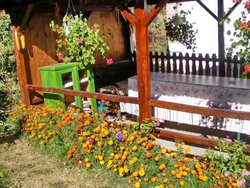 Torockó Szállás | Hotel**** (K0399-11) A kép szerzői jogvédelem alatt állhat. Javasolt a kapcsolatfelvétel a jog tulajdonossal.