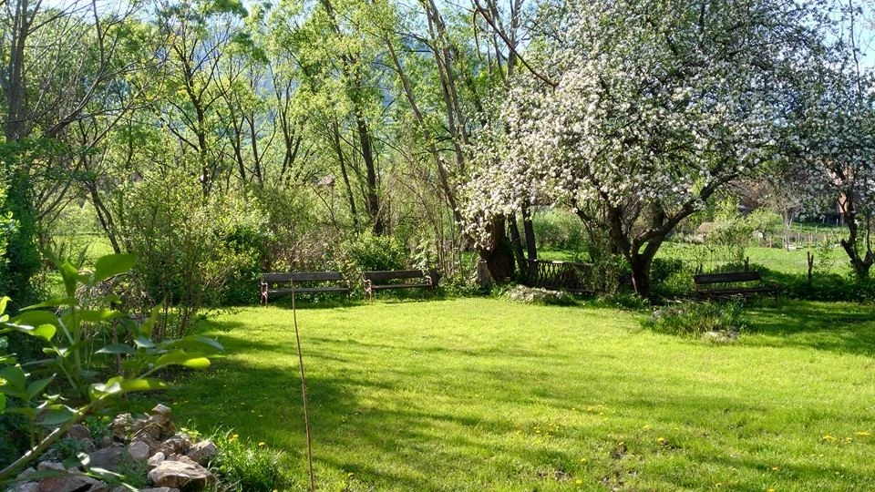 Torockó Szállás | Motel (K0450-25) A kép szerzői jogvédelem alatt állhat. Javasolt a kapcsolatfelvétel a jog tulajdonossal.