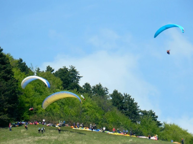 Rimetea Cazare | Pensiune (K0450-66) Imaginea poate fi supusă drepturilor de autor. Se recomandă contactarea titularului drepturilor.