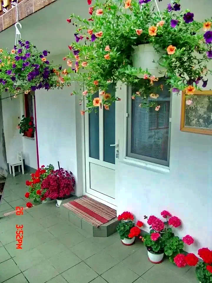 Rimetea Cazare | Motel (K1091-21) Imaginea poate fi supusă drepturilor de autor. Se recomandă contactarea titularului drepturilor.