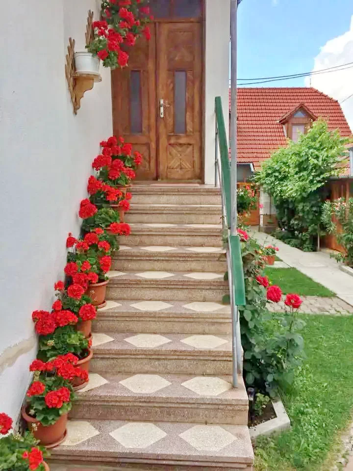 Rimetea Cazare | Motel (K1094-14) Imaginea poate fi supusă drepturilor de autor. Se recomandă contactarea titularului drepturilor.