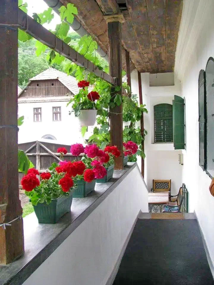 Torockó Szállás | Hotel**** (K1095-5) A kép szerzői jogvédelem alatt állhat. Javasolt a kapcsolatfelvétel a jog tulajdonossal.