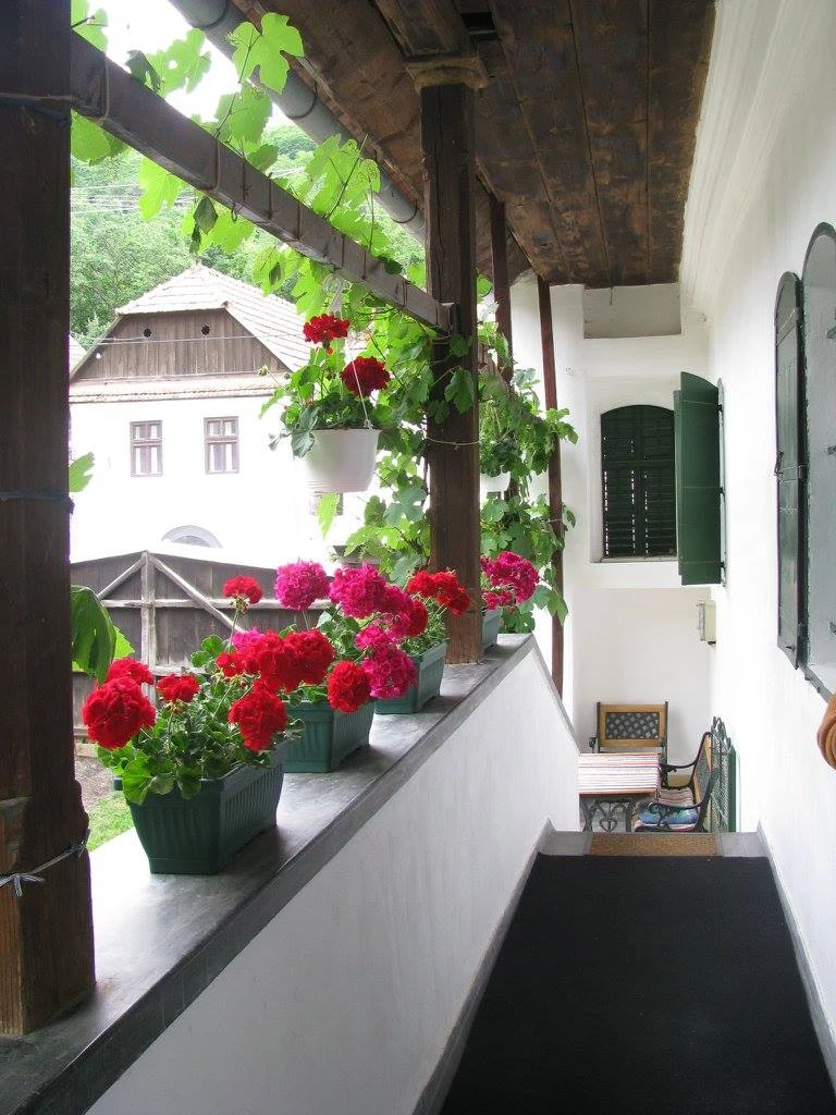 Torockó Szállás | Hotel**** (K1095-9) A kép szerzői jogvédelem alatt állhat. Javasolt a kapcsolatfelvétel a jog tulajdonossal.