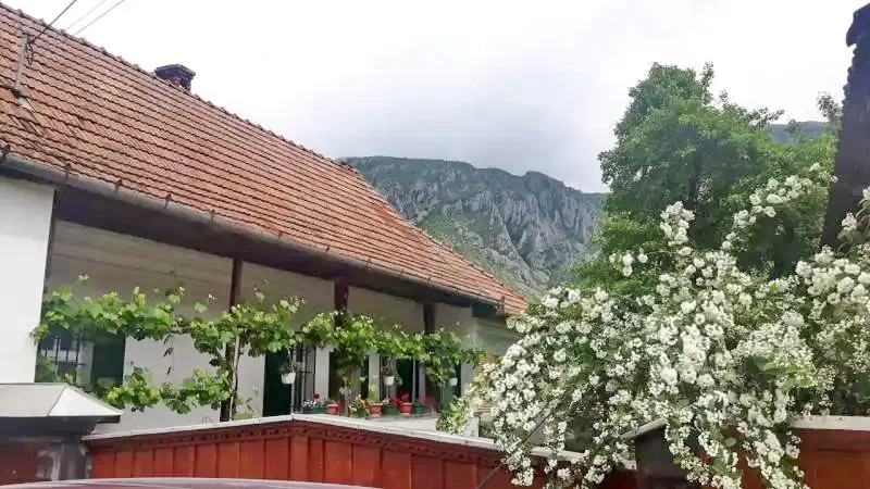 Torockó Szállás | Hotel**** (K1095-15) A kép szerzői jogvédelem alatt állhat. Javasolt a kapcsolatfelvétel a jog tulajdonossal.