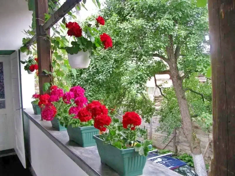 Rimetea Cazare | Hotel**** (K1095-17) Imaginea poate fi supusă drepturilor de autor. Se recomandă contactarea titularului drepturilor.