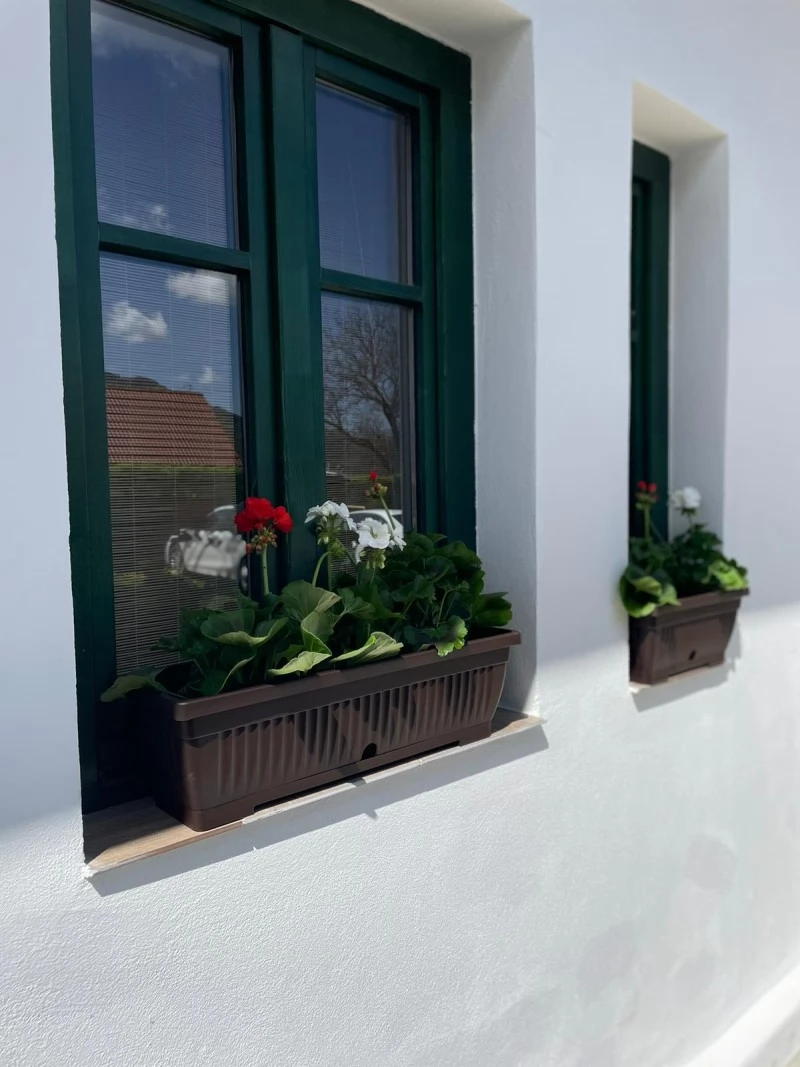 Cazare Rimetea - Centru de Tineret Casa Tóbiás | Torockó Tobiás ház, Brassai alapitványi szálló. Imaginea poate fi supusă drepturilor de autor. Se recomandă contactarea titularului drepturilor.