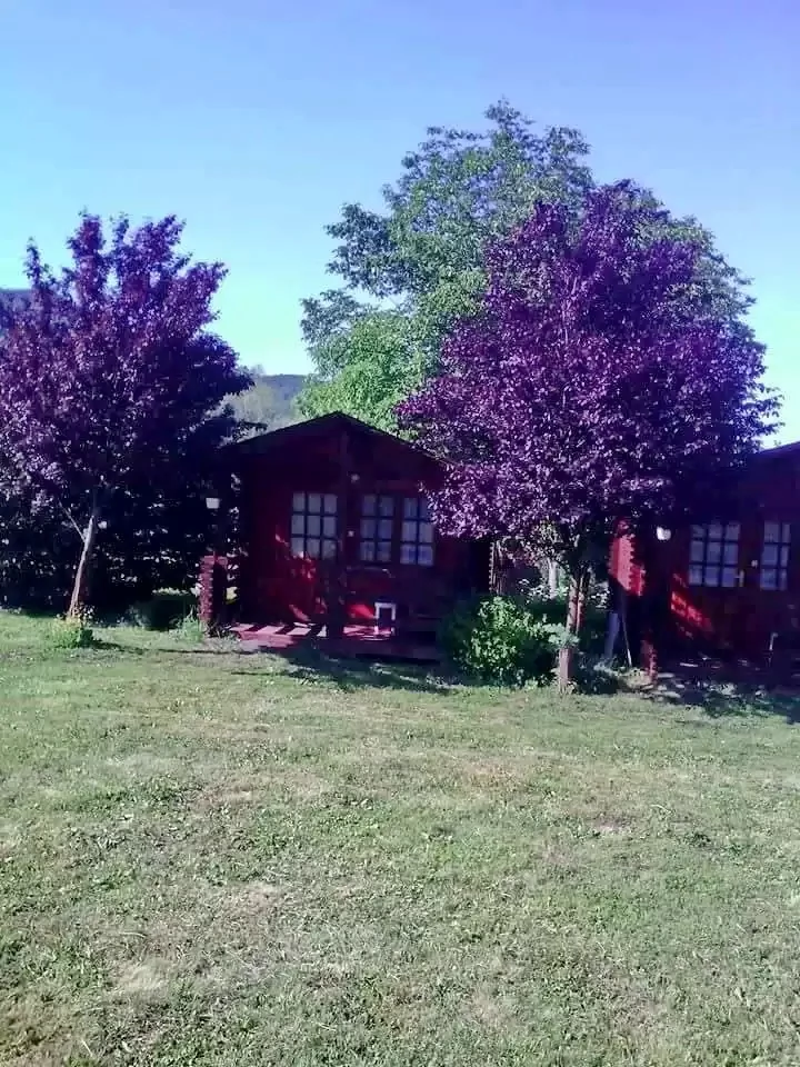 Torockó Szállás | Hotel**** (K1103-27) A kép szerzői jogvédelem alatt állhat. Javasolt a kapcsolatfelvétel a jog tulajdonossal.