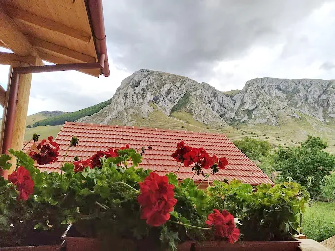 Rimetea Cazare | Sat de vacanță (K1437-23) Imaginea poate fi supusă drepturilor de autor. Se recomandă contactarea titularului drepturilor.