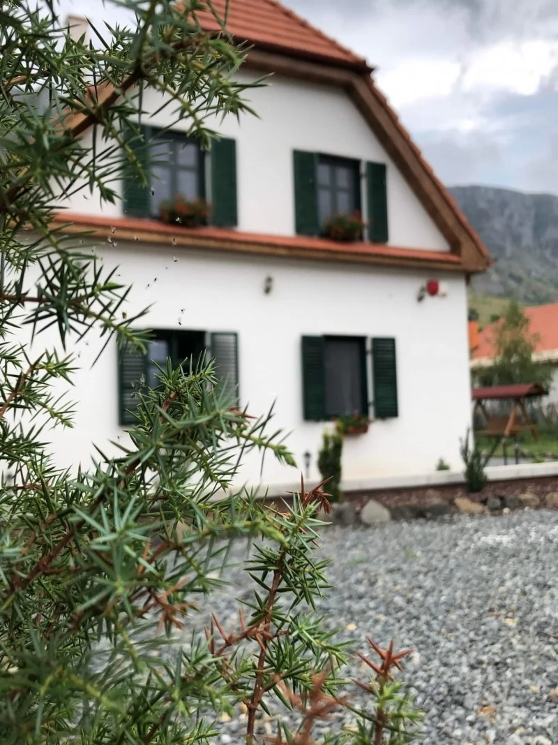 Rimetea Cazare | Motel (K1438-48) Imaginea poate fi supusă drepturilor de autor. Se recomandă contactarea titularului drepturilor.