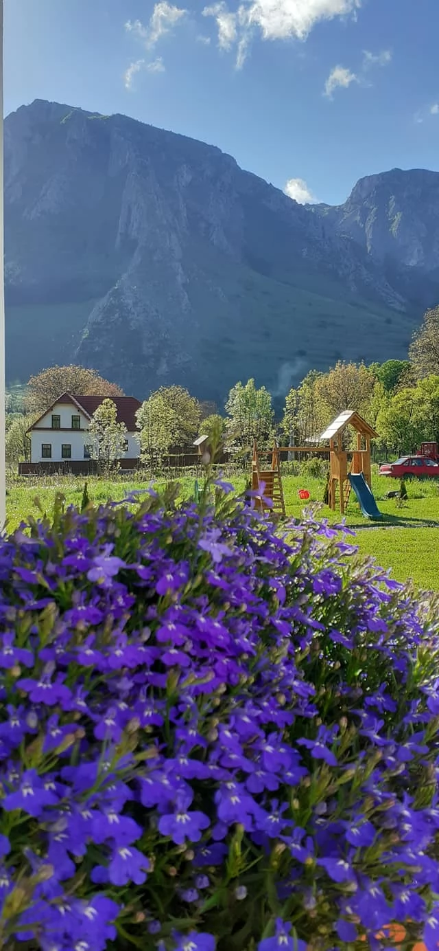 Torockó Szállás | Motel (K1482-31) A kép szerzői jogvédelem alatt állhat. Javasolt a kapcsolatfelvétel a jog tulajdonossal.