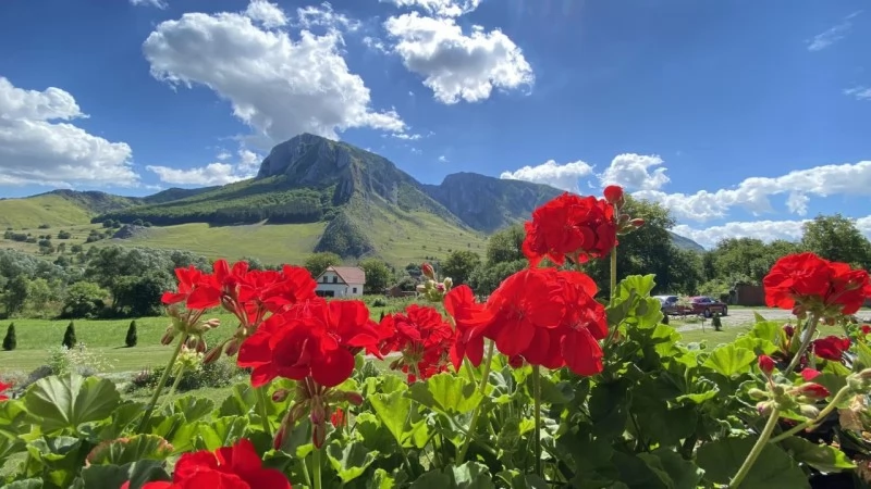 Torockó Szállás | Motel (K1482-46) A kép szerzői jogvédelem alatt állhat. Javasolt a kapcsolatfelvétel a jog tulajdonossal.