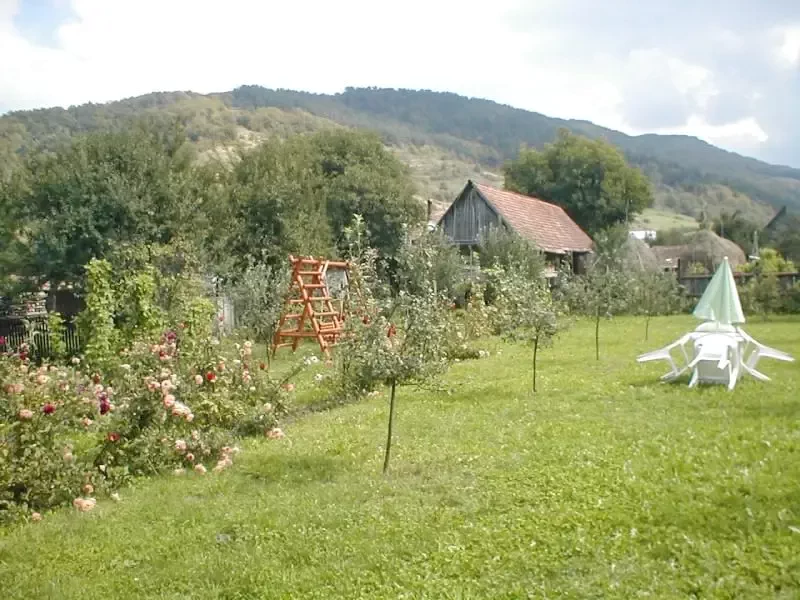 Parajd Szállás | Hotel**** (K0098-15) A kép szerzői jogvédelem alatt állhat. Javasolt a kapcsolatfelvétel a jog tulajdonossal.