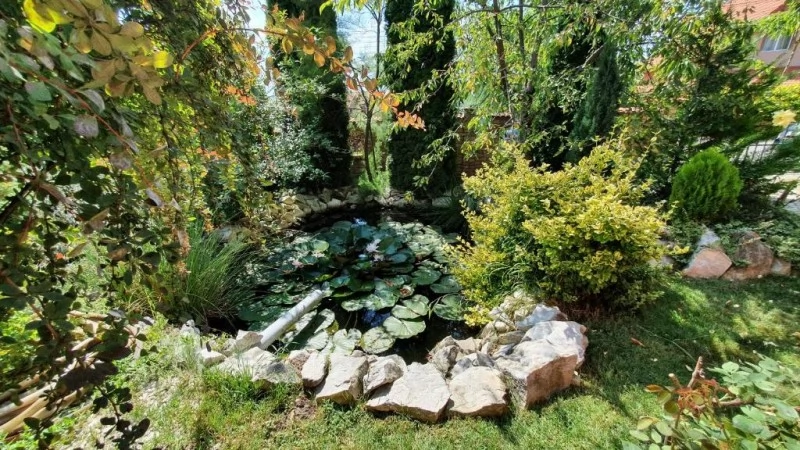 Parajd Szállás | Motel (K0140-34) A kép szerzői jogvédelem alatt állhat. Javasolt a kapcsolatfelvétel a jog tulajdonossal.