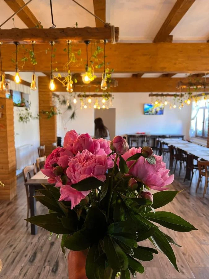 Racu Cazare | Motel (K1360-7) Imaginea poate fi supusă drepturilor de autor. Se recomandă contactarea titularului drepturilor.