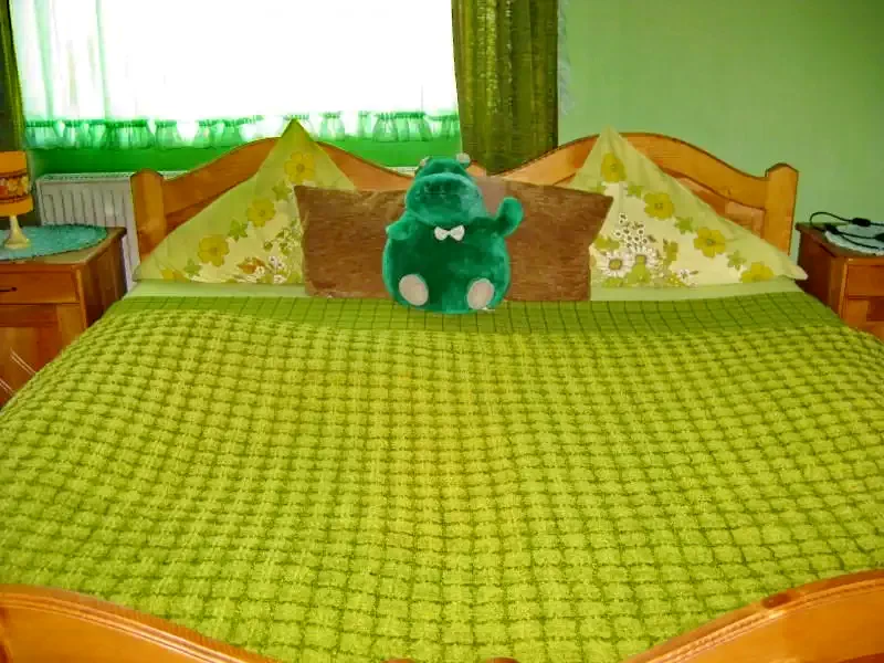 Parajd Szállás | Hotel**** (K0162-11) A kép szerzői jogvédelem alatt állhat. Javasolt a kapcsolatfelvétel a jog tulajdonossal.