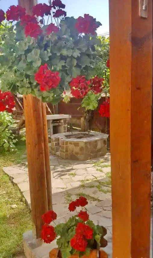 Praid Cazare | Hotel**** (K0221-7) Imaginea poate fi supusă drepturilor de autor. Se recomandă contactarea titularului drepturilor.