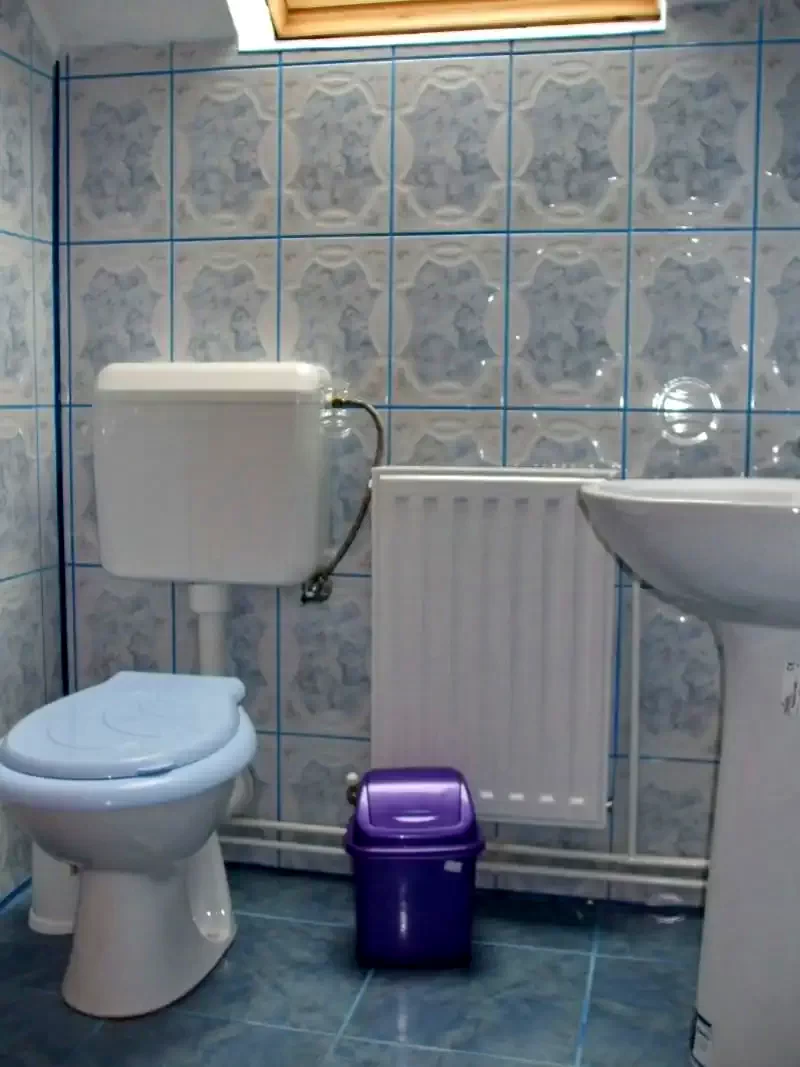 Cazare Praid - Vila Praid*** | Parajd - Parajd Villa***. Imaginea poate fi supusă drepturilor de autor. Se recomandă contactarea titularului drepturilor.