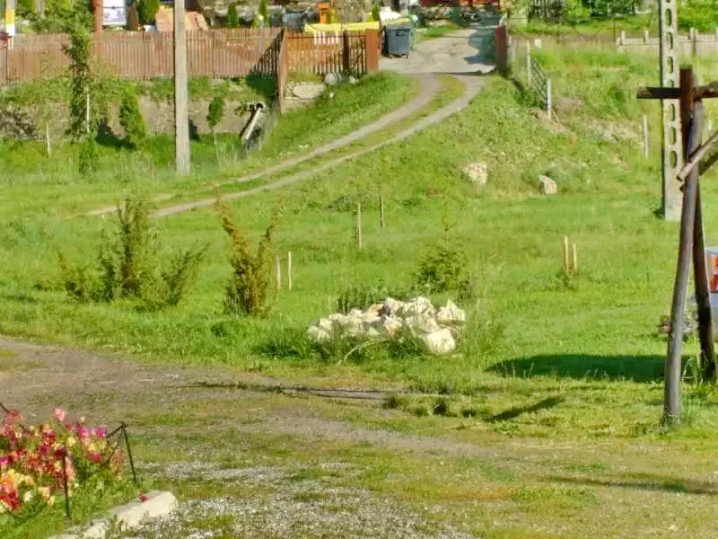 Praid Cazare | Camping / Popas turistic (K0227-17) Imaginea poate fi supusă drepturilor de autor. Se recomandă contactarea titularului drepturilor.