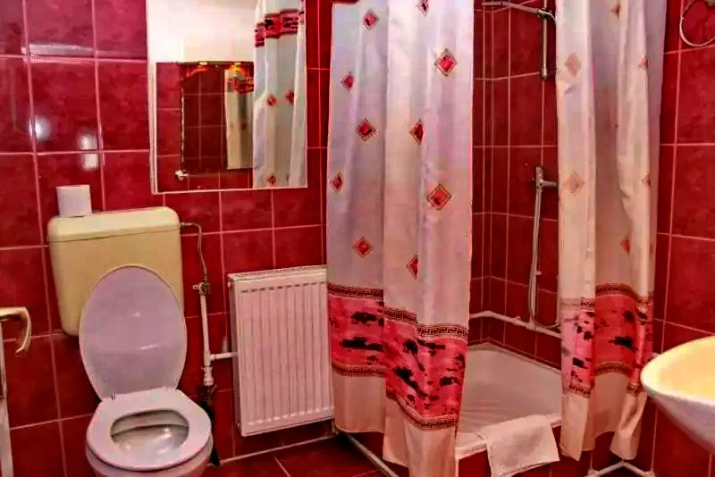 Cazare Praid - Casa de vacanță Zsuzsanna*** | Parajd - Zsuzsanna Parasztház***. Imaginea poate fi supusă drepturilor de autor. Se recomandă contactarea titularului drepturilor.