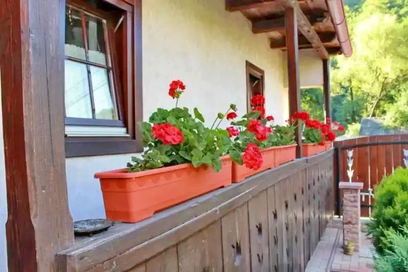 Cazare Praid - Casa de vacanță Zsuzsanna*** | Parajd - Zsuzsanna Parasztház***. Imaginea poate fi supusă drepturilor de autor. Se recomandă contactarea titularului drepturilor.