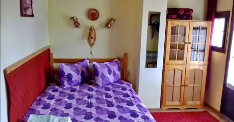 Parajd Szállás | Motel (K0271-14) A kép szerzői jogvédelem alatt állhat. Javasolt a kapcsolatfelvétel a jog tulajdonossal.