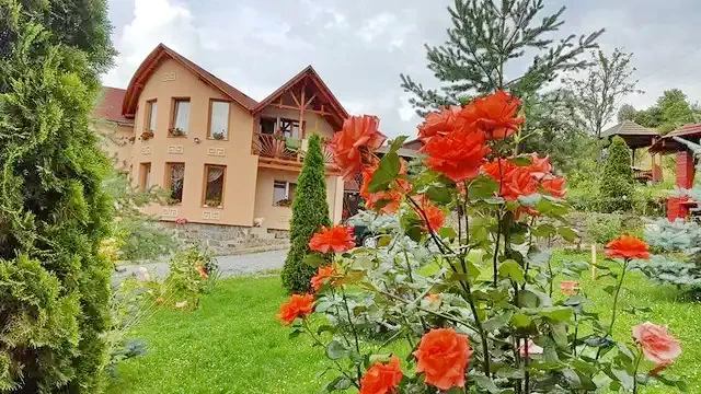 Praid Cazare | Motel (K0300-14) Imaginea poate fi supusă drepturilor de autor. Se recomandă contactarea titularului drepturilor.