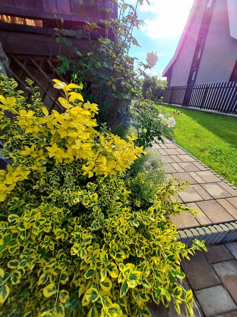 Praid Cazare | Pensiune (K0302-24) Imaginea poate fi supusă drepturilor de autor. Se recomandă contactarea titularului drepturilor. Praid Cazare | Pensiune (K0302-24) Imaginea poate fi supusă drepturilor de autor. Se recomandă contactarea titularului drepturilor.