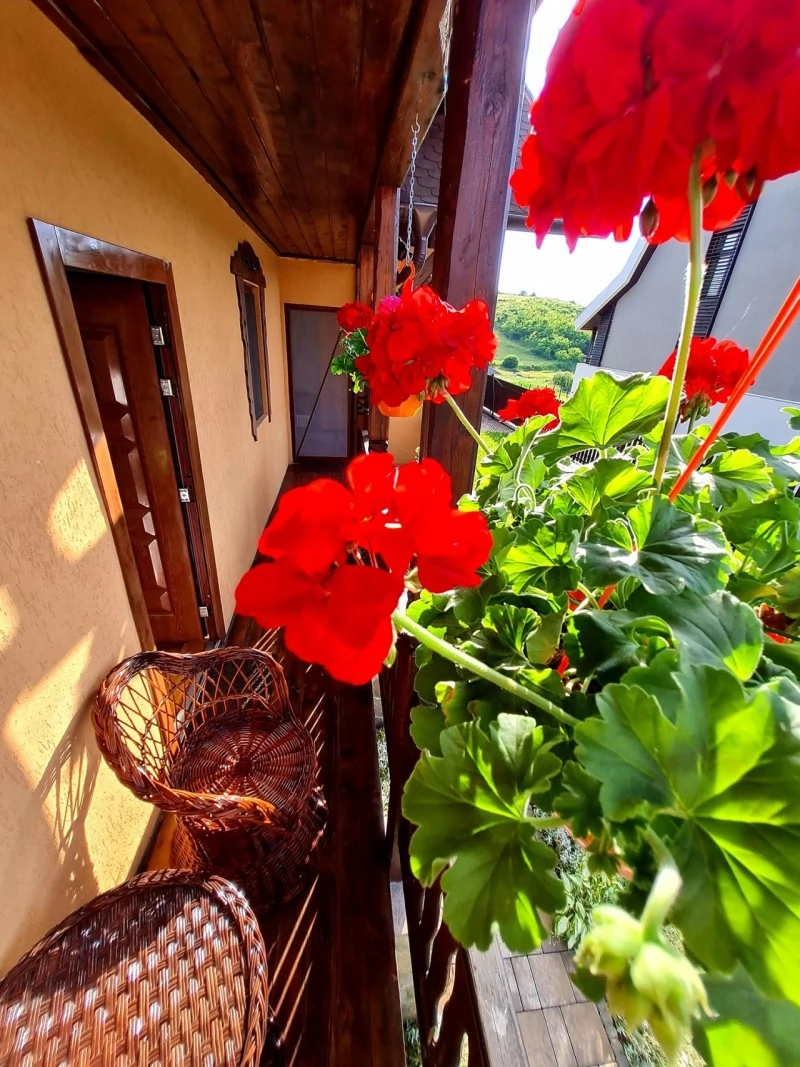 Parajd Szállás | Motel (K0302-30) A kép szerzői jogvédelem alatt állhat. Javasolt a kapcsolatfelvétel a jog tulajdonossal.