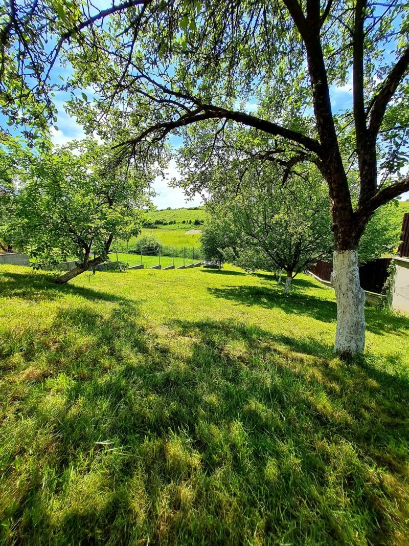 Parajd Szállás | Motel (K0302-38) A kép szerzői jogvédelem alatt állhat. Javasolt a kapcsolatfelvétel a jog tulajdonossal.