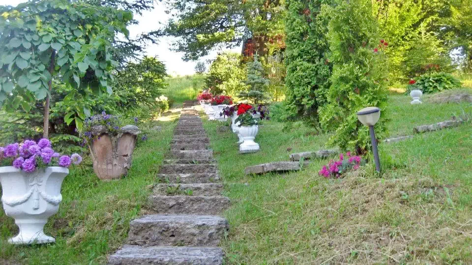 Cazare Praid - Pensiunea Ambrus Árpád | Parajd - Ambrus Árpád Panzió. Imaginea poate fi supusă drepturilor de autor. Se recomandă contactarea titularului drepturilor.