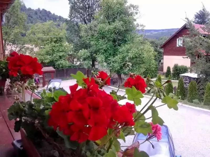 Praid Cazare | Motel (K0366-10) Imaginea poate fi supusă drepturilor de autor. Se recomandă contactarea titularului drepturilor.