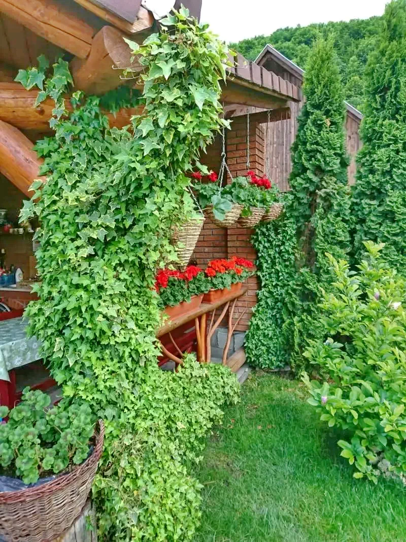 Parajd Szállás | Motel (K0397-35) A kép szerzői jogvédelem alatt állhat. Javasolt a kapcsolatfelvétel a jog tulajdonossal.