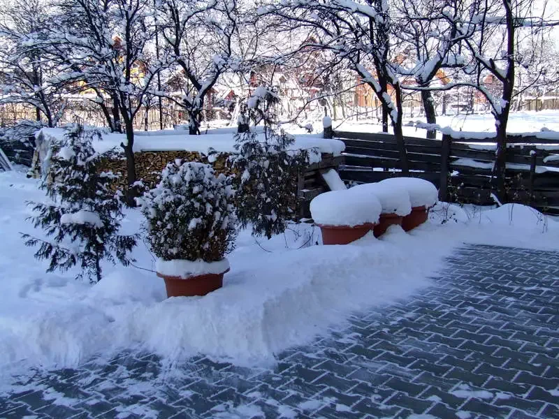 Parajd Szállás | Motel (K0742-23) A kép szerzői jogvédelem alatt állhat. Javasolt a kapcsolatfelvétel a jog tulajdonossal.