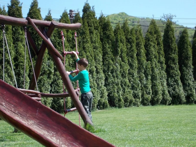 Parajd Szállás | Motel (K0762-62) A kép szerzői jogvédelem alatt állhat. Javasolt a kapcsolatfelvétel a jog tulajdonossal.