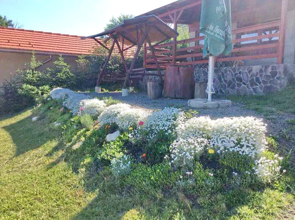 Parajd Szállás | Vendégház (K0965-26) A kép szerzői jogvédelem alatt állhat. Javasolt a kapcsolatfelvétel a jog tulajdonossal.