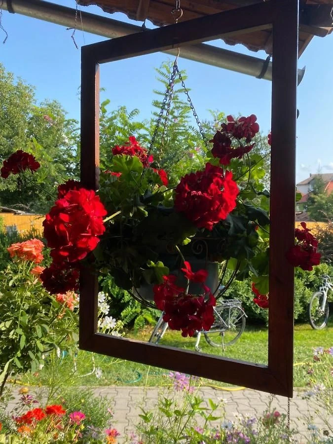 Parajd Szállás | Panzió (K0975-12) A kép szerzői jogvédelem alatt állhat. Javasolt a kapcsolatfelvétel a jog tulajdonossal.