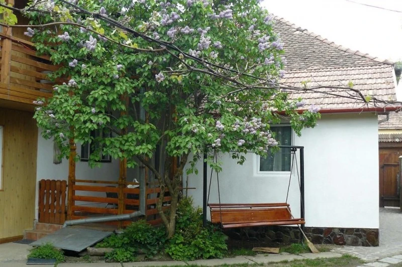 Praid Cazare | Motel (K0975-30) Imaginea poate fi supusă drepturilor de autor. Se recomandă contactarea titularului drepturilor.